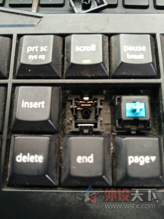 cherry ��Ƭ��������ô��