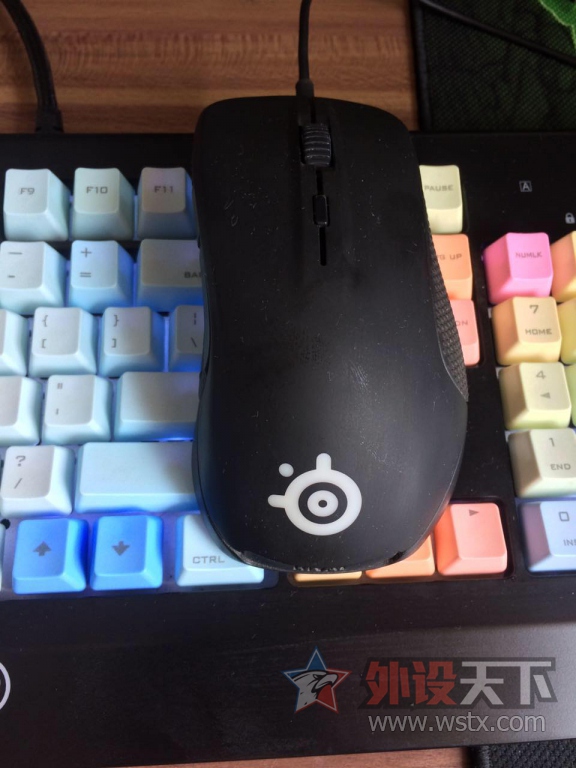 ���ӱ���������Rival   90Ԫ