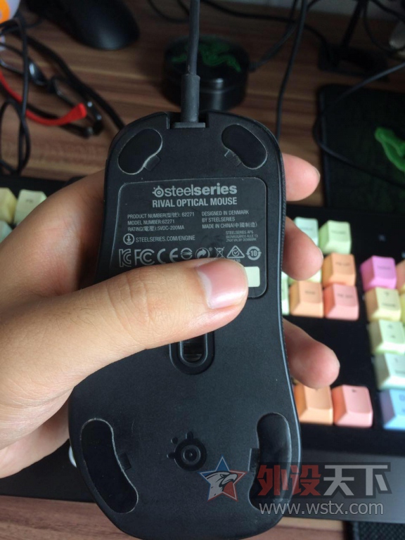 ���ӱ���������Rival   90Ԫ