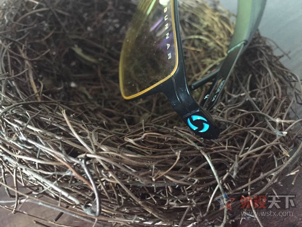 ���Ͼ�����ˡ���GUNNAR�籩Ӣ�۶��ƿ�������۾��������