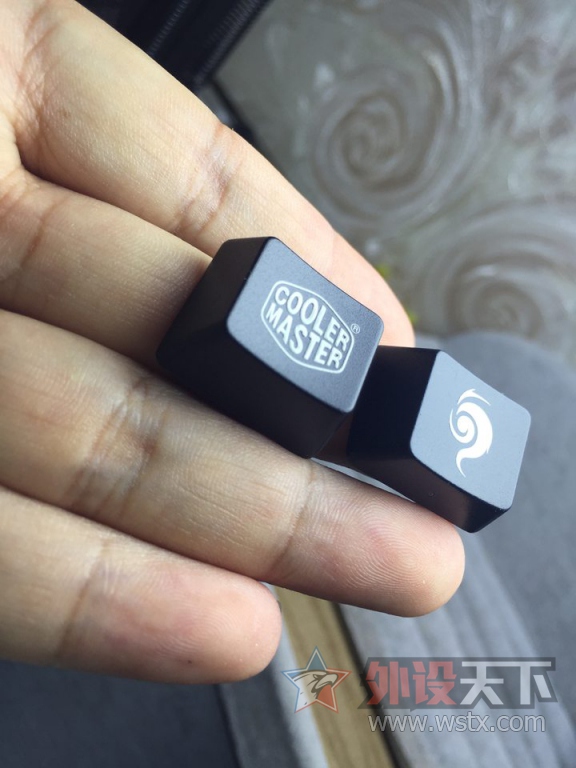 ������������ǹXT���Ὺ��