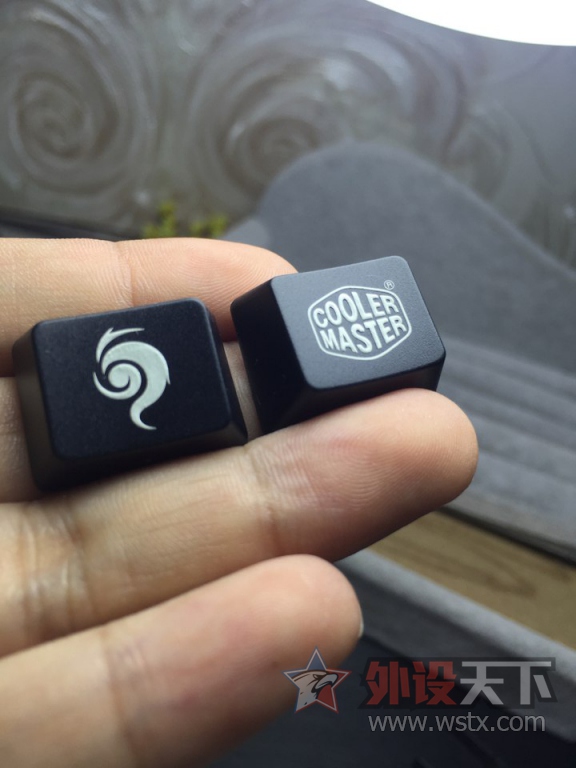 ������������ǹXT���Ὺ��