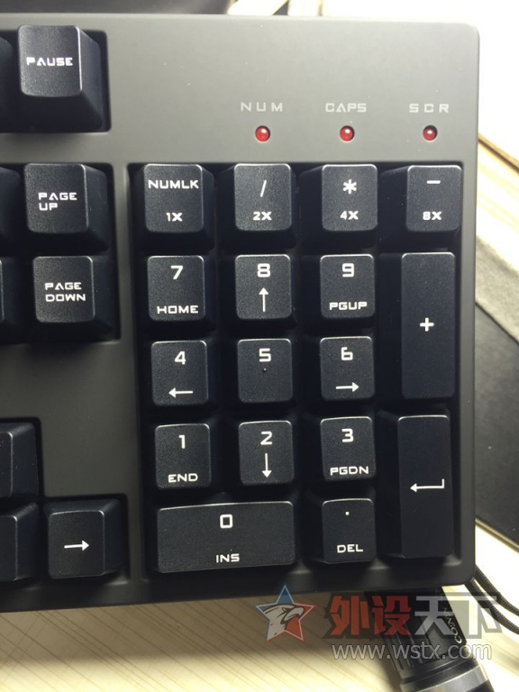 ������������ǹXT���Ὺ��