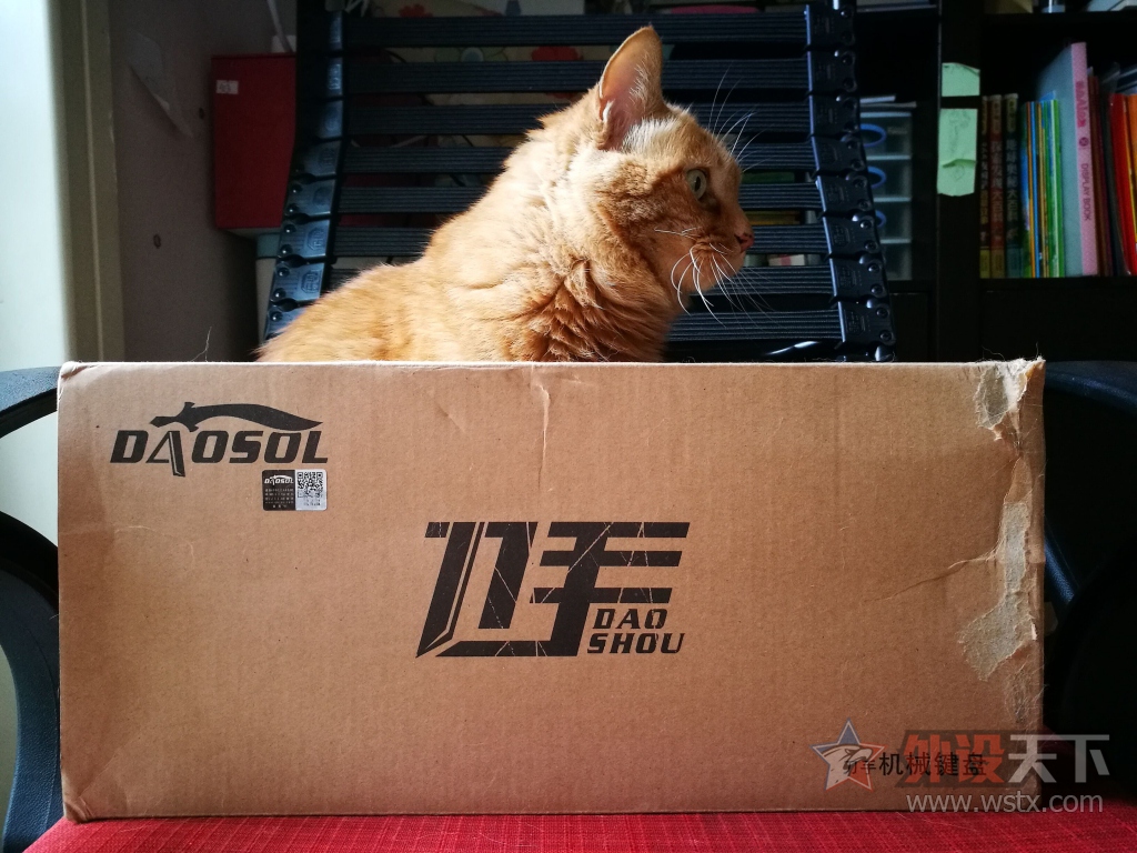 ���ֻ���ǹ�֣���������D10��Ӣ���е����