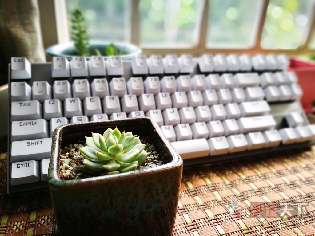 ���ֻ���ǹ�֣���������D10��Ӣ���е����