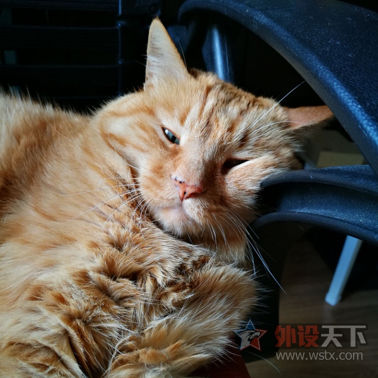 ���ֻ���ǹ�֣���������D10��Ӣ���е����