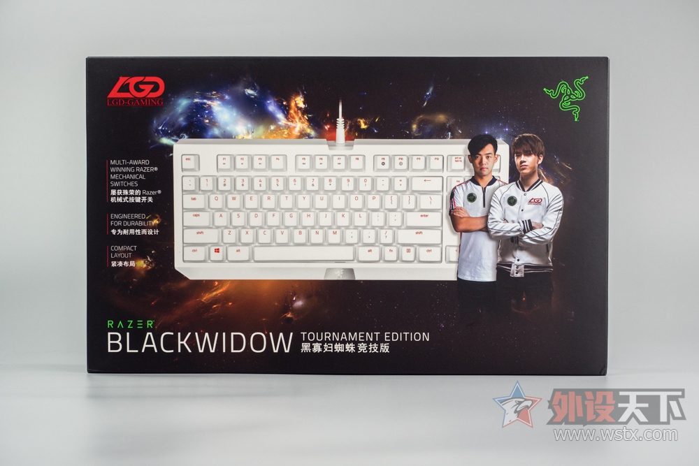 ӡعĺָУRazer BlackWidow TE LGD
