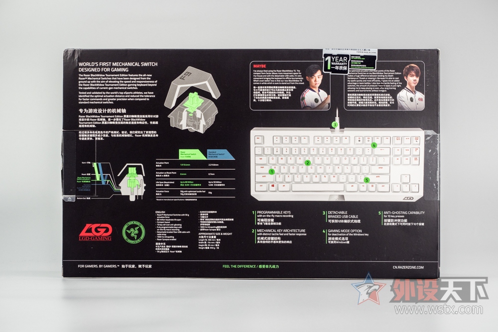 ӡعĺָУRazer BlackWidow TE LGD