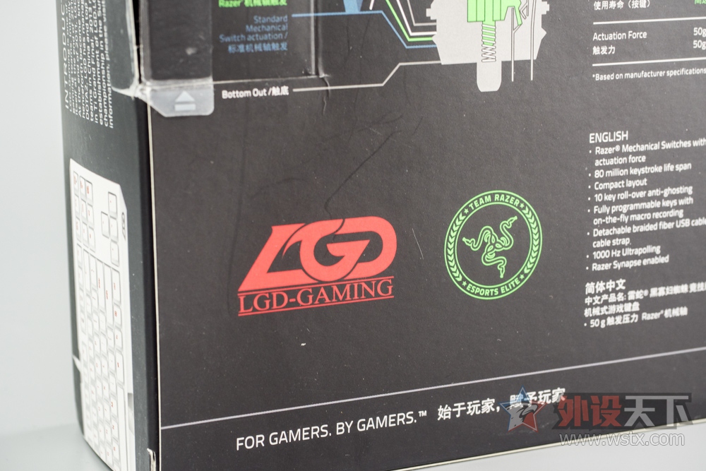 ӡعĺָУRazer BlackWidow TE LGD
