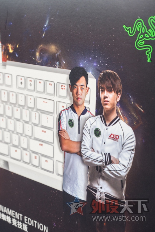ӡعĺָУRazer BlackWidow TE LGD