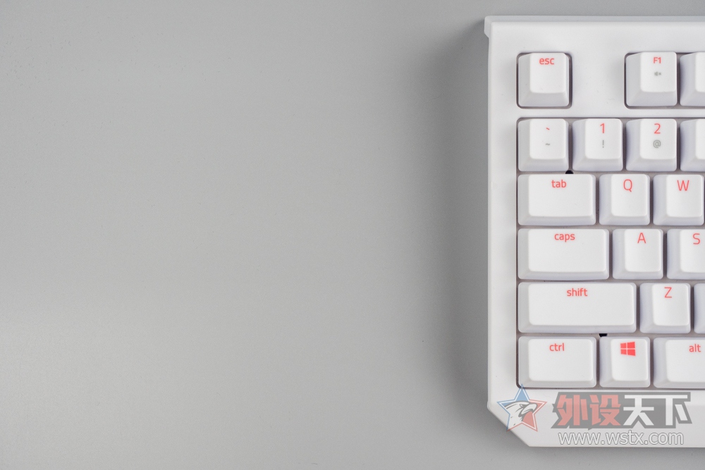 ӡعĺָУRazer BlackWidow TE LGD