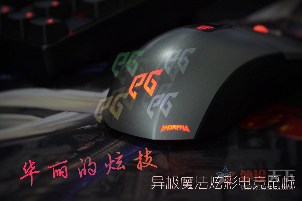 �������ż� �켫ħ���Ųʵ羺���