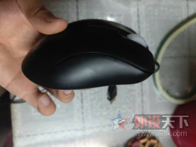 ���������ݳ�