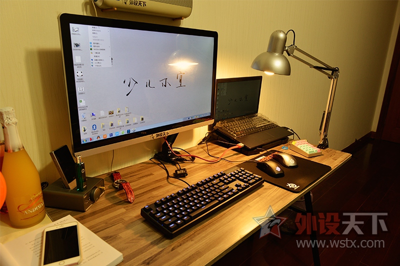 лRival֮ SteelSeriesR700᲻У