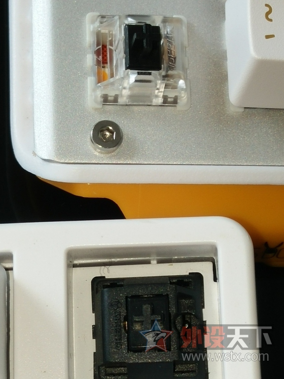 ��������(��¿JamesDonkey)619��е���̲���