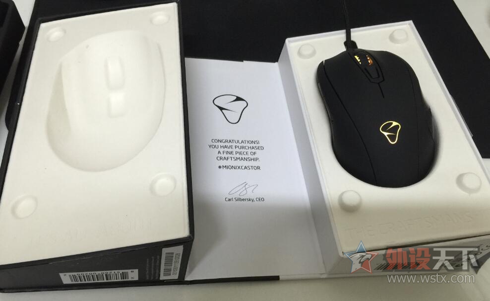 Mionix Castor zowie fk2