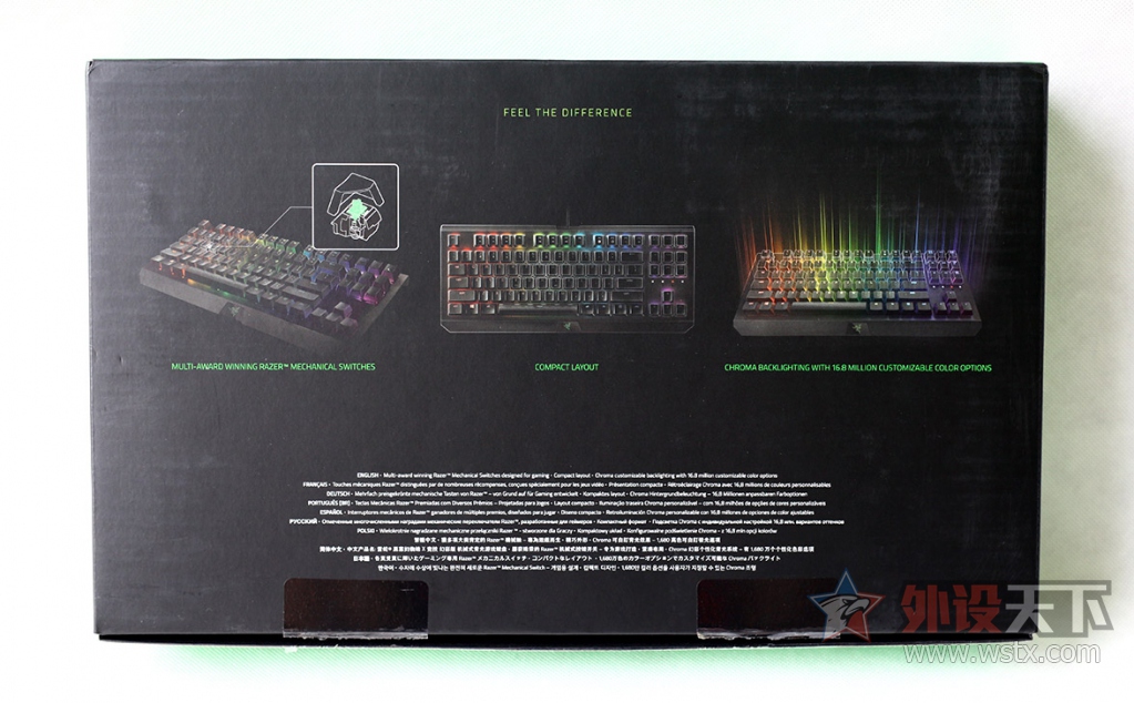 ���ߺڹѸ�֩�� BLACKWIDOW X �����òʰ��е��������