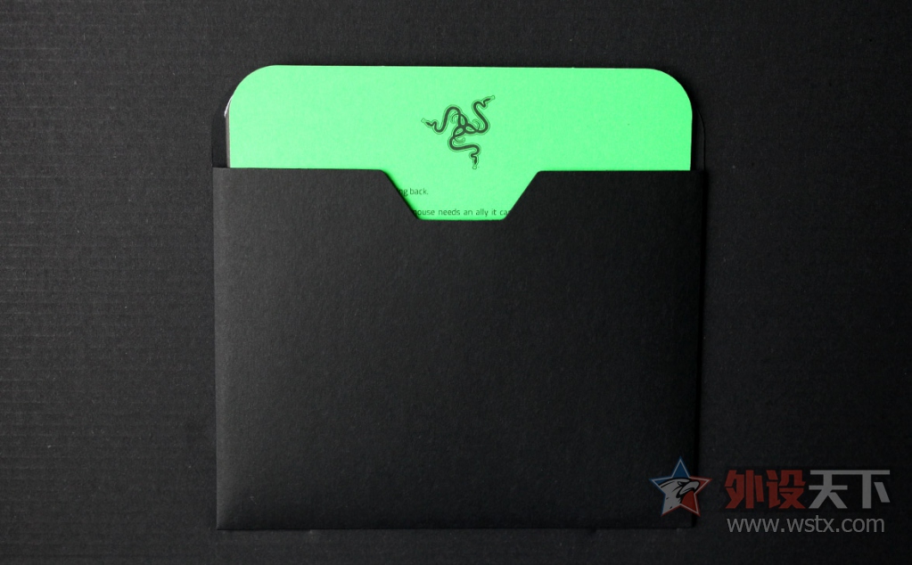 ���ߺڹѸ�֩�� BLACKWIDOW X �����òʰ��е��������