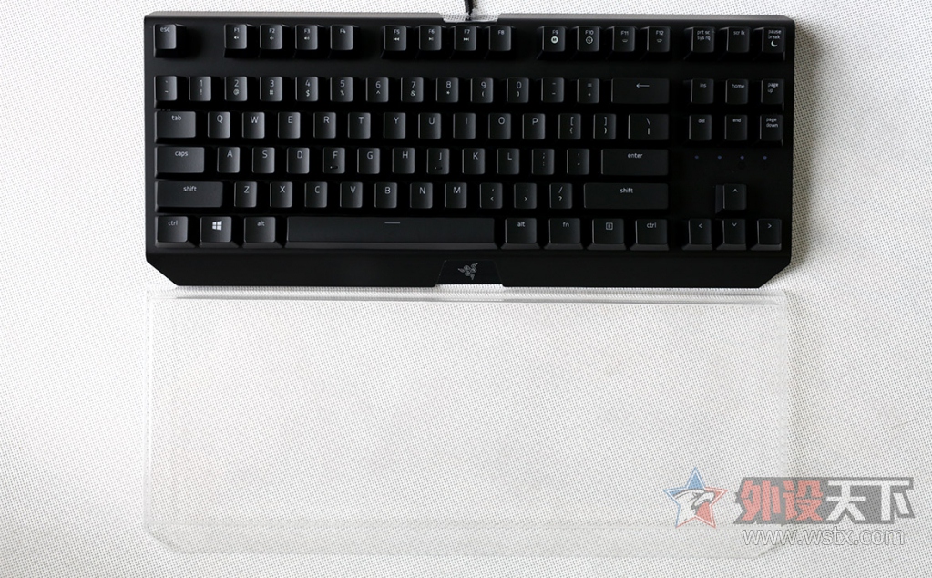 ���ߺڹѸ�֩�� BLACKWIDOW X �����òʰ��е��������