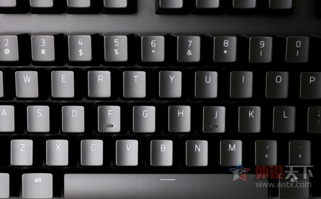 ���ߺڹѸ�֩�� BLACKWIDOW X �����òʰ��е��������