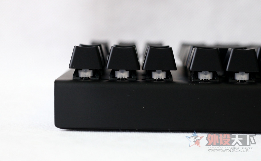 ���ߺڹѸ�֩�� BLACKWIDOW X �����òʰ��е��������