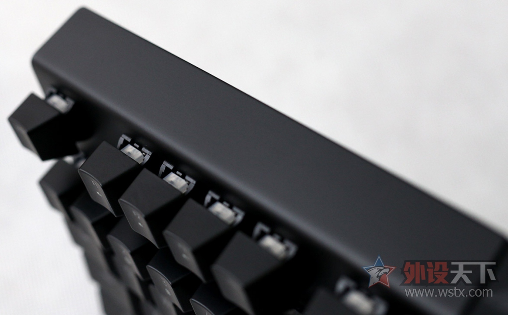 ���ߺڹѸ�֩�� BLACKWIDOW X �����òʰ��е��������