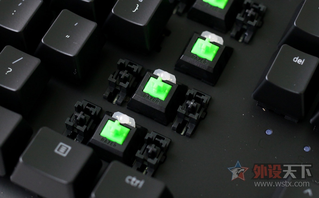 ���ߺڹѸ�֩�� BLACKWIDOW X �����òʰ��е��������