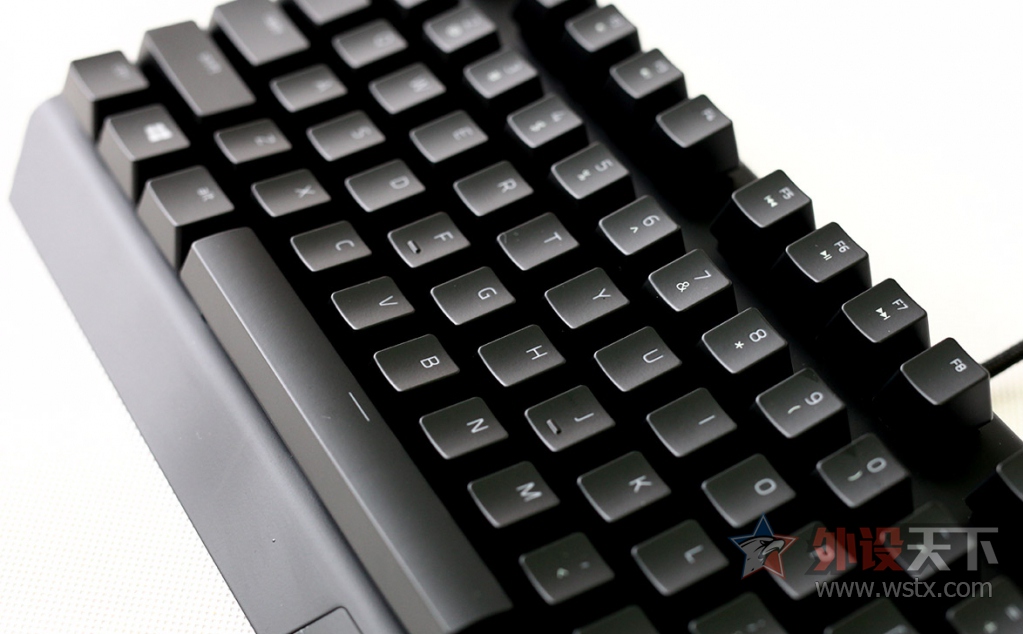 ���ߺڹѸ�֩�� BLACKWIDOW X �����òʰ��е��������