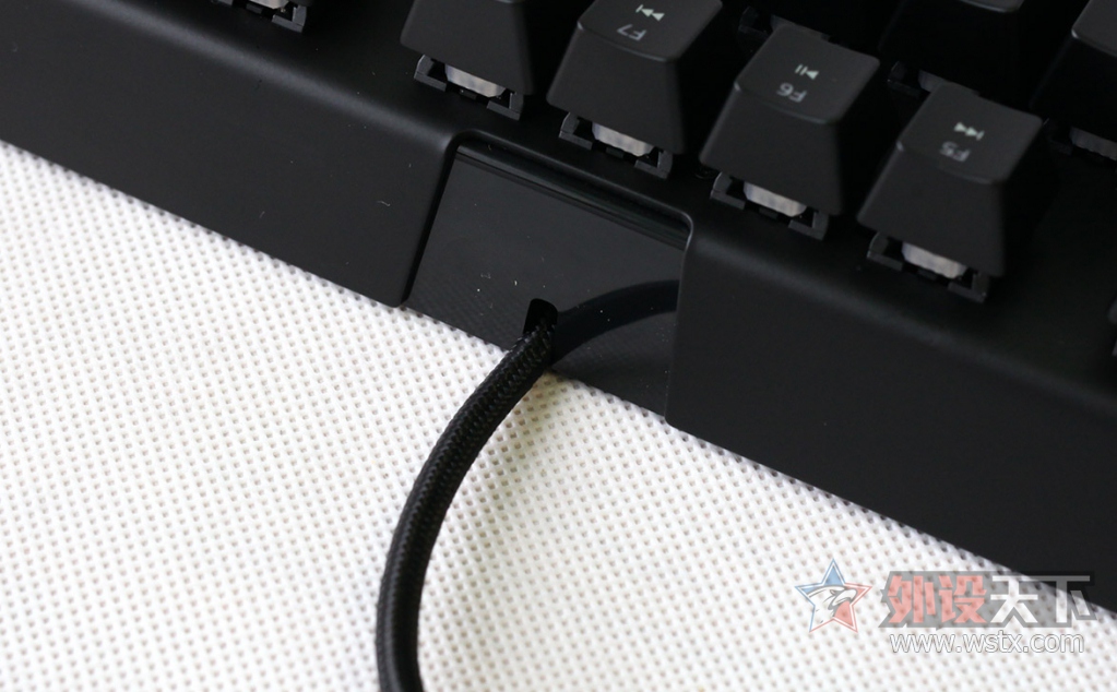 ���ߺڹѸ�֩�� BLACKWIDOW X �����òʰ��е��������