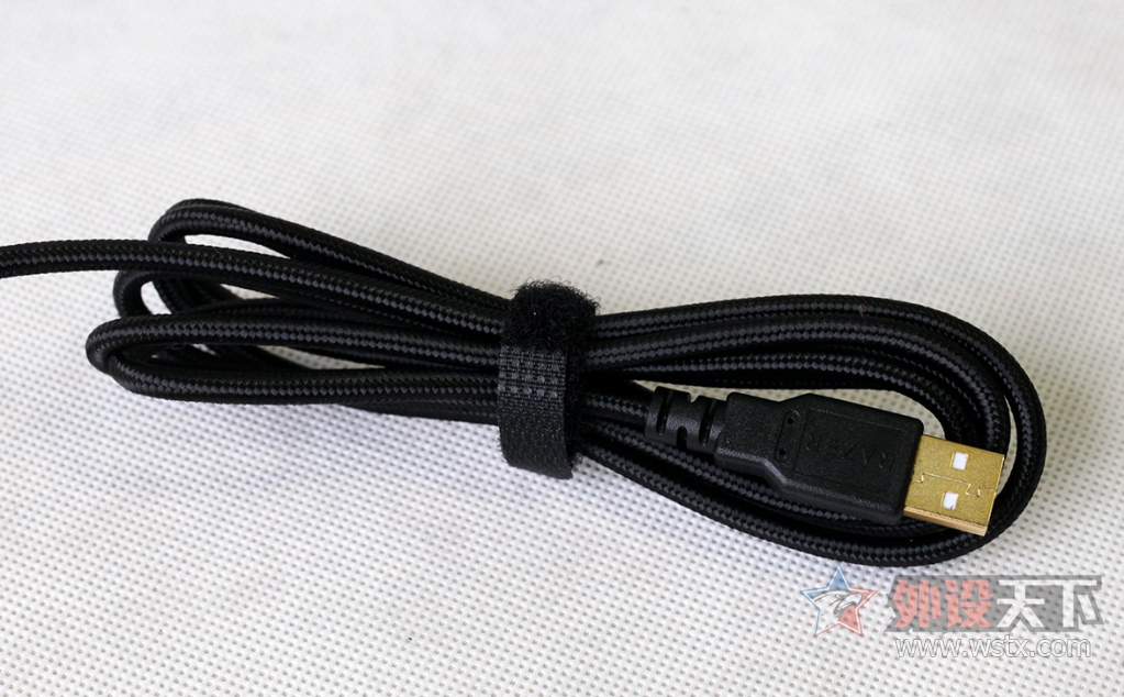 ���ߺڹѸ�֩�� BLACKWIDOW X �����òʰ��е��������