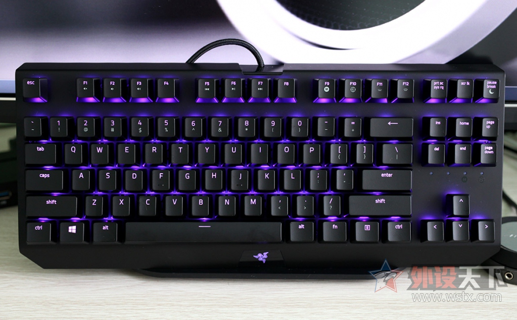 ���ߺڹѸ�֩�� BLACKWIDOW X �����òʰ��е��������