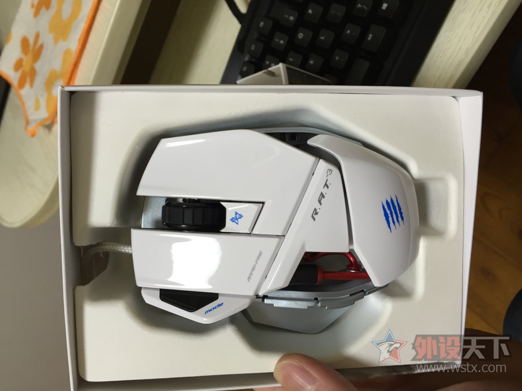 �����ա����������ż�С��