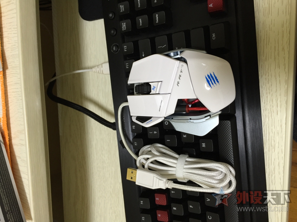 �����ա����������ż�С��