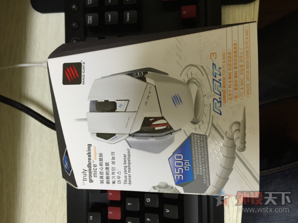 �����ա����������ż�С��