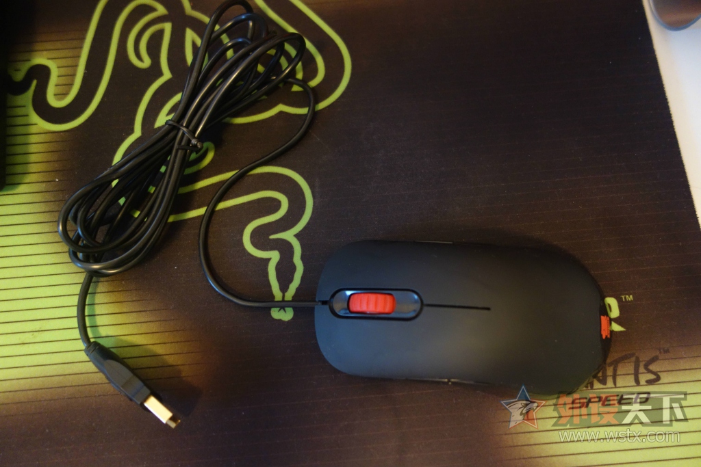 ��������9�»�˶ P301-1A ROG��ҹ���SICA ׿�� ZOWIE AM-GS