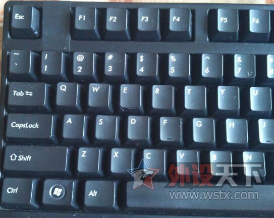 [] Filco ʥֲ ɭHD555޼G500