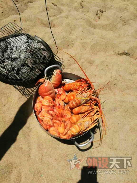 ѿׯ֮