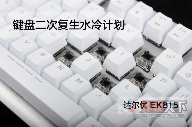 KeyBoard���θ���ˮ��ƻ�������������¿�87Key EK815���̲���