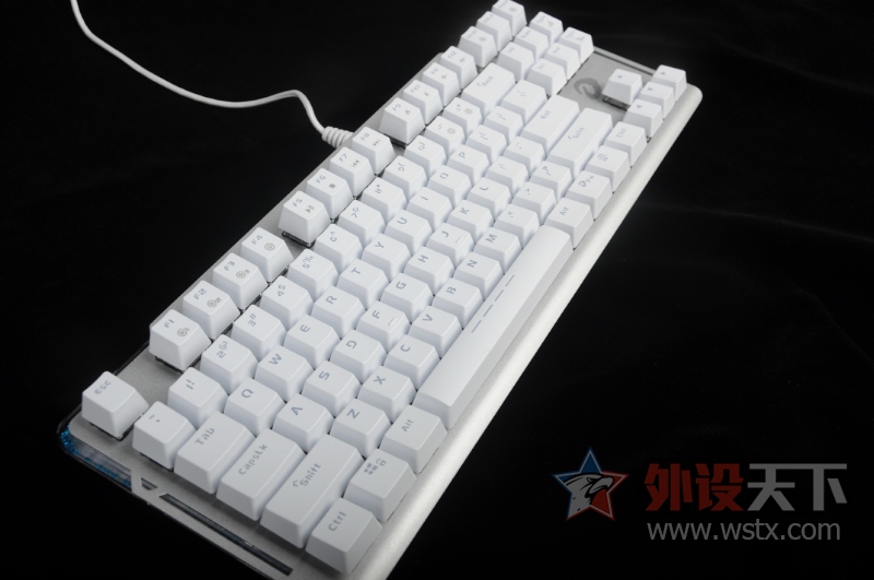 KeyBoard���θ���ˮ��ƻ�������������¿�87Key EK815���̲���