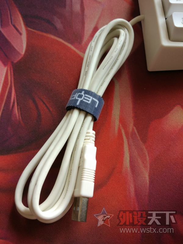 ɹɹ�ճ�¯��Leopold FC210TP