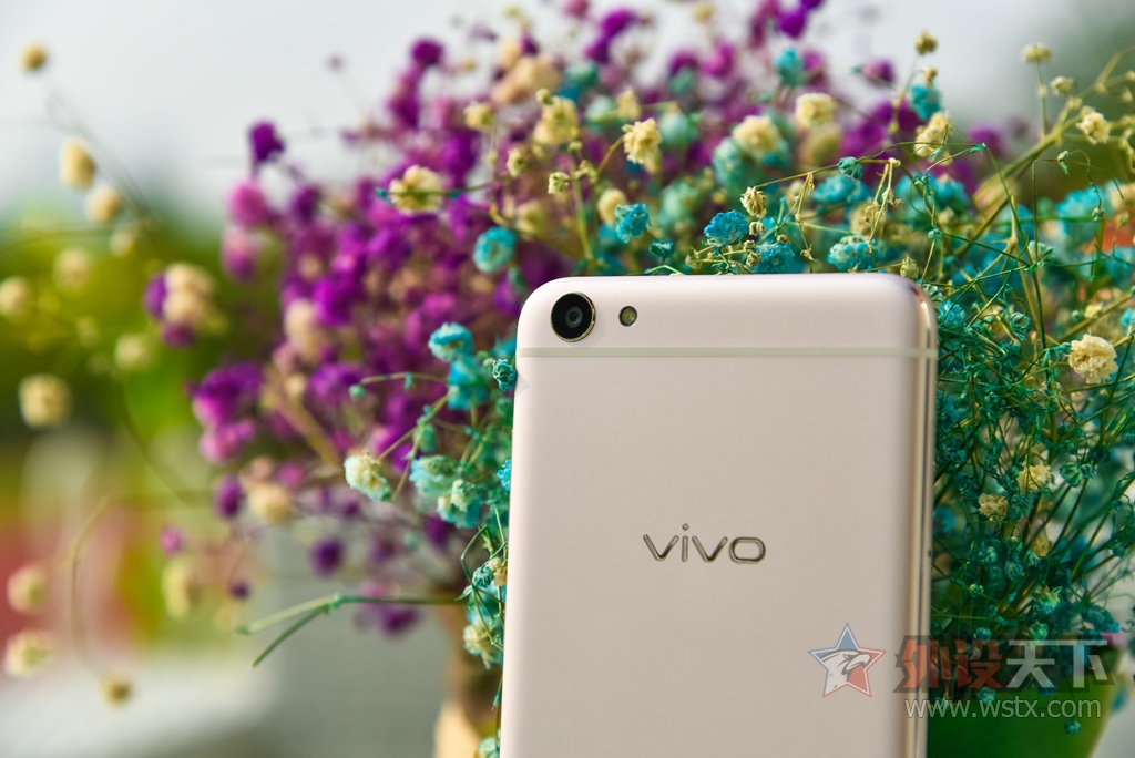 ͷ𣿡vivo X7ֻ