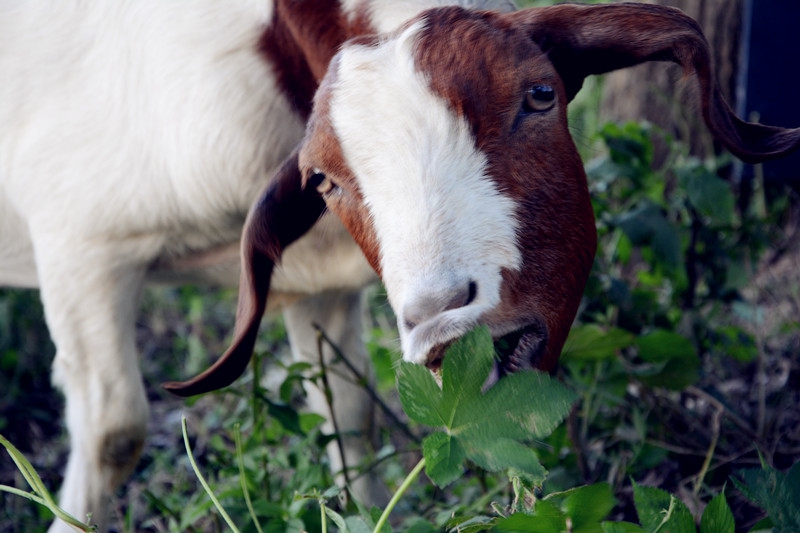 Ұս�������Բʡ���ս.AVI �����ðɣ���װ���ˣ�����AKKO���������