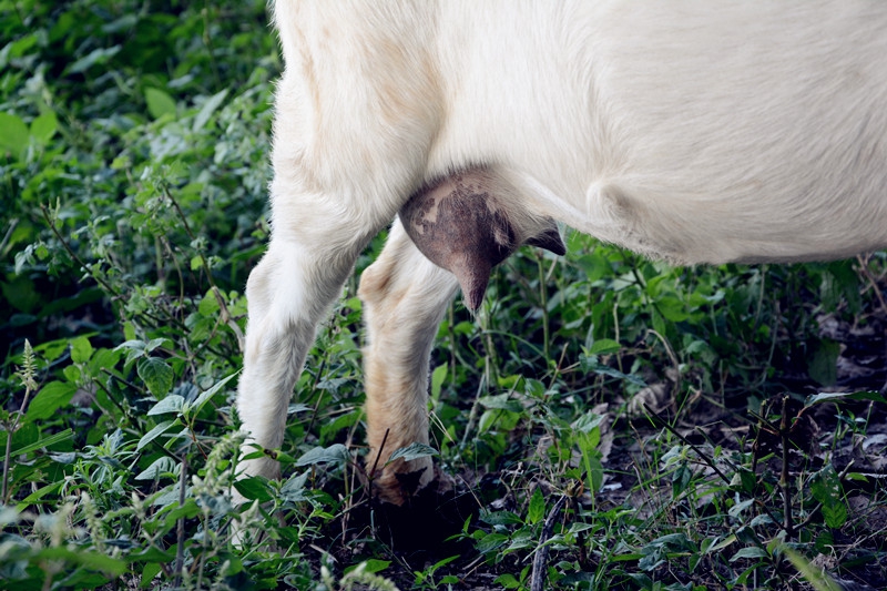 Ұս�������Բʡ���ս.AVI �����ðɣ���װ���ˣ�����AKKO���������