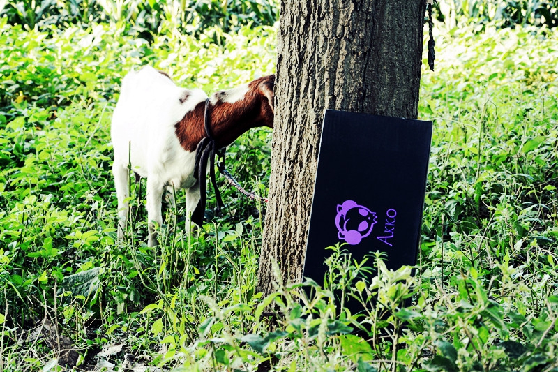 Ұս�������Բʡ���ս.AVI �����ðɣ���װ���ˣ�����AKKO���������