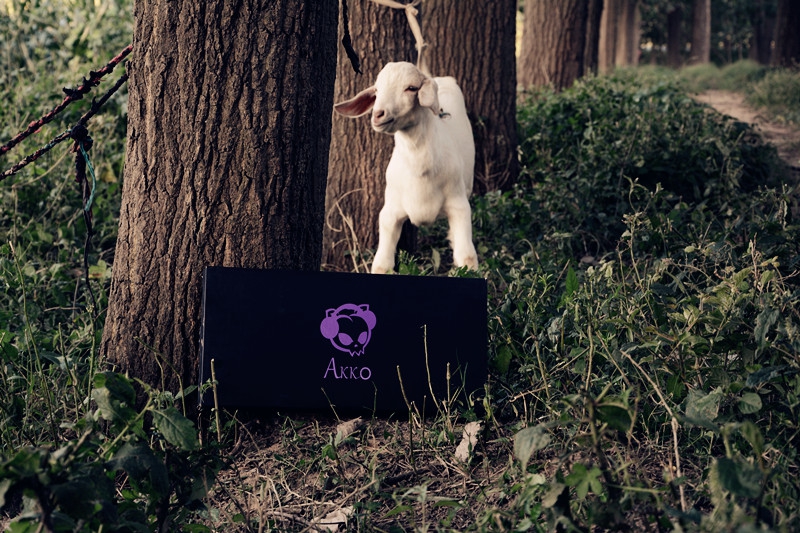 Ұս�������Բʡ���ս.AVI �����ðɣ���װ���ˣ�����AKKO���������