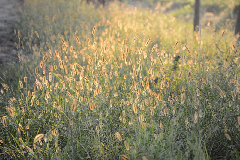 Ұս�������Բʡ���ս.AVI �����ðɣ���װ���ˣ�����AKKO���������