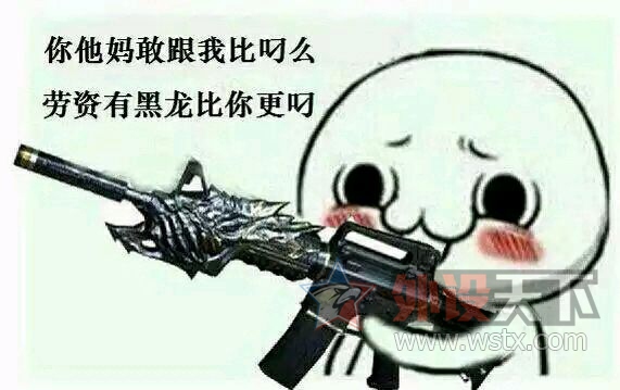 Сѧǹս롪Խߺ갴ϸƵ̳