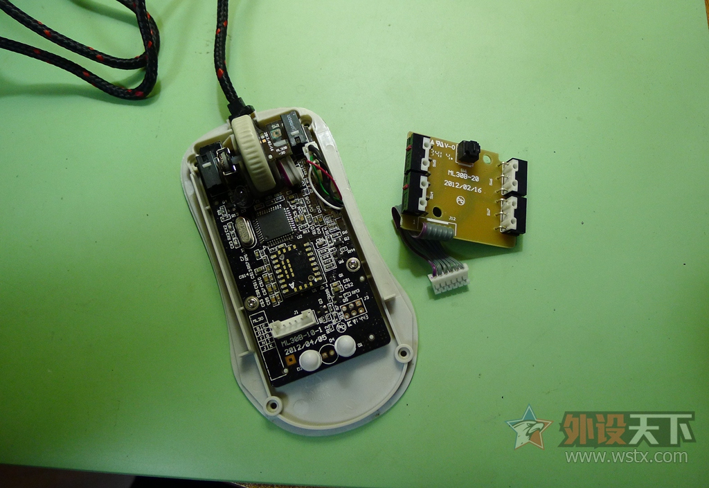 ��һֻ���raw