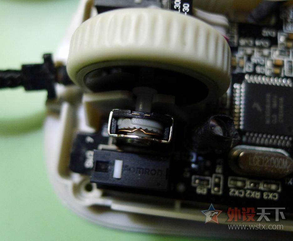 ��һֻ���raw