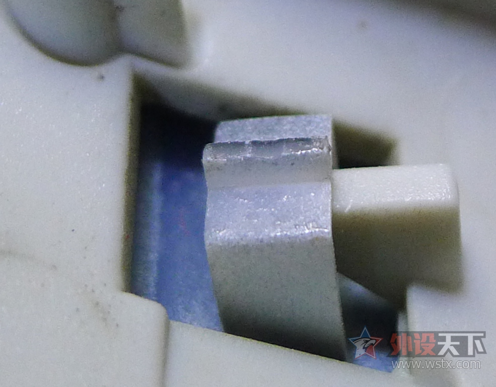 ��һֻ���raw